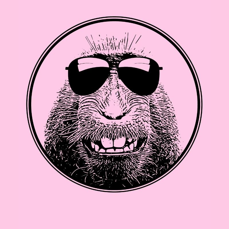 Singe avec des lunettes de soleil pour les singes cool du soleil d'été