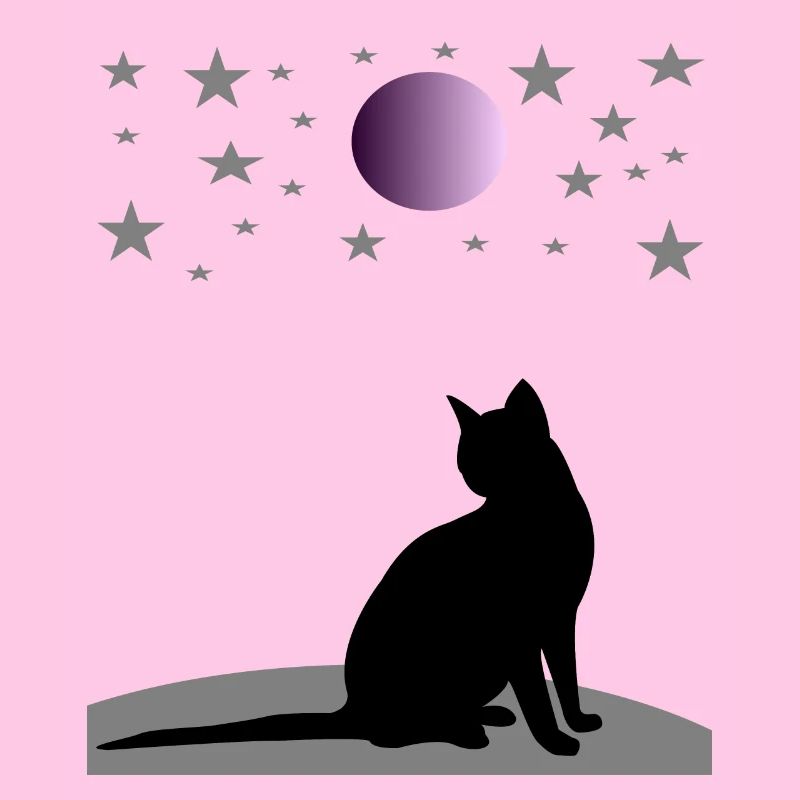 Starry sky with moon and cat