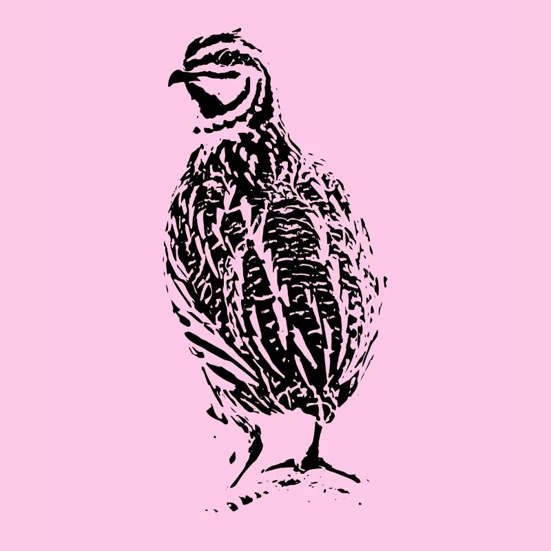 Conception de caille