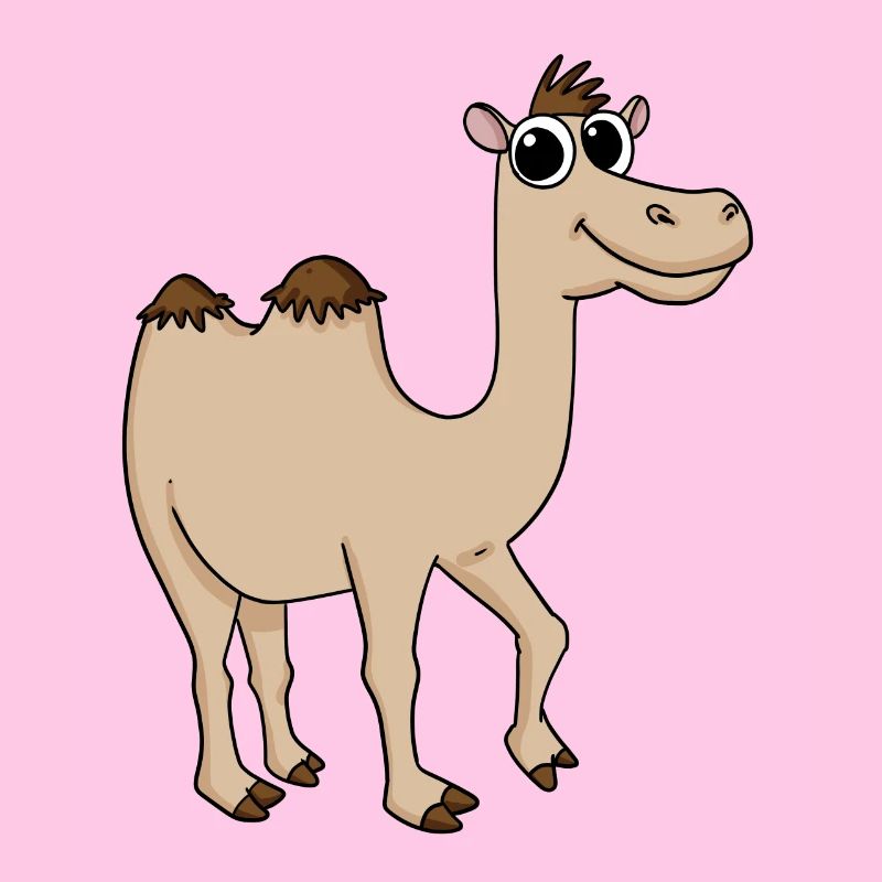 Cute camel