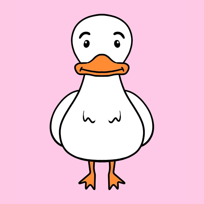 Canard