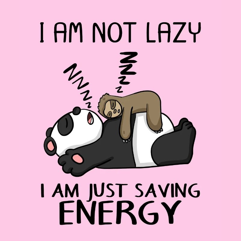 Funny Sloth Panda Saying Funny Gift