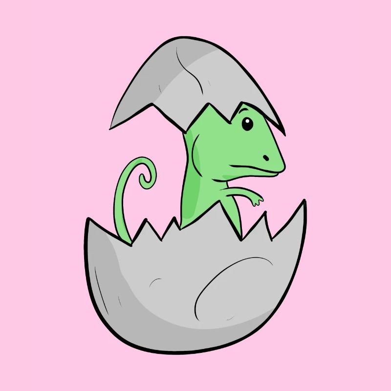 Bébé caméléon