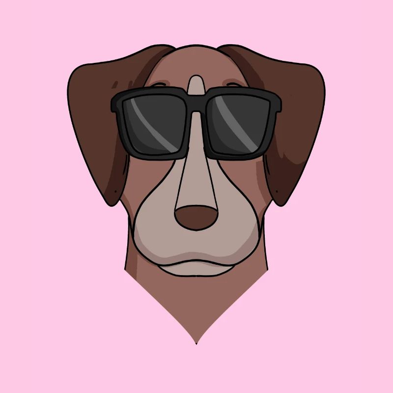 Pointer Hund Hunderasse