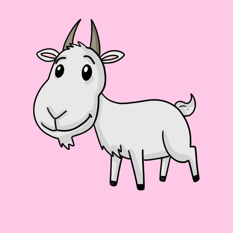 Chèvre mignonne