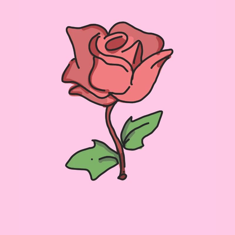 Rose Rouge Rose dessinée à la main