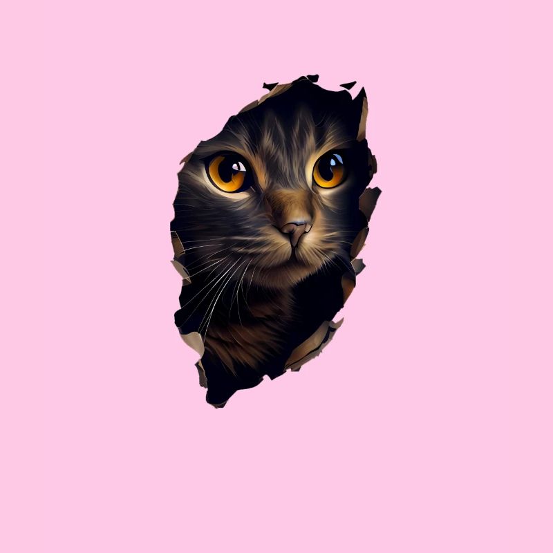 Cat Cute Kitten Cracked Cat Lovers Cats