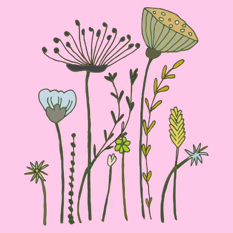 Fleurs séchées