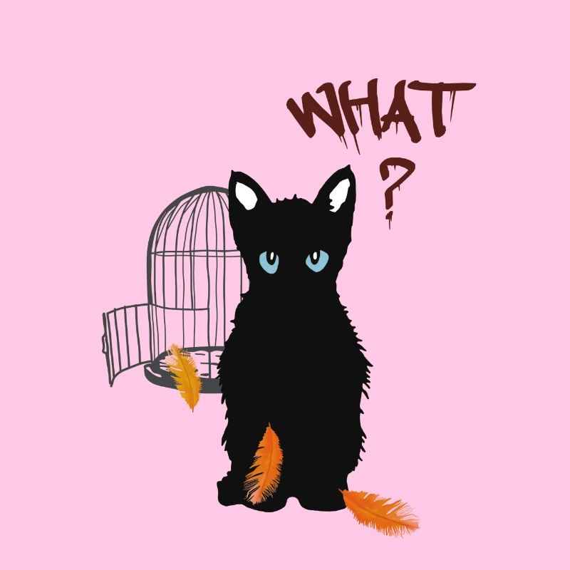 Petit chaton mignon noir et oiseau