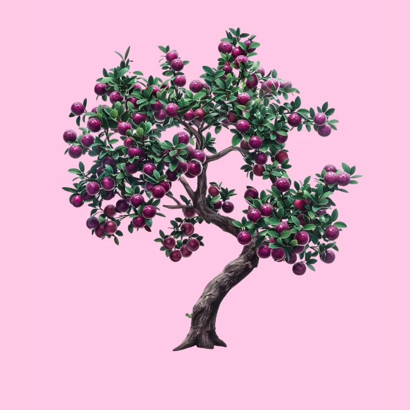 Lebendiger Baum mit Lila Früchten