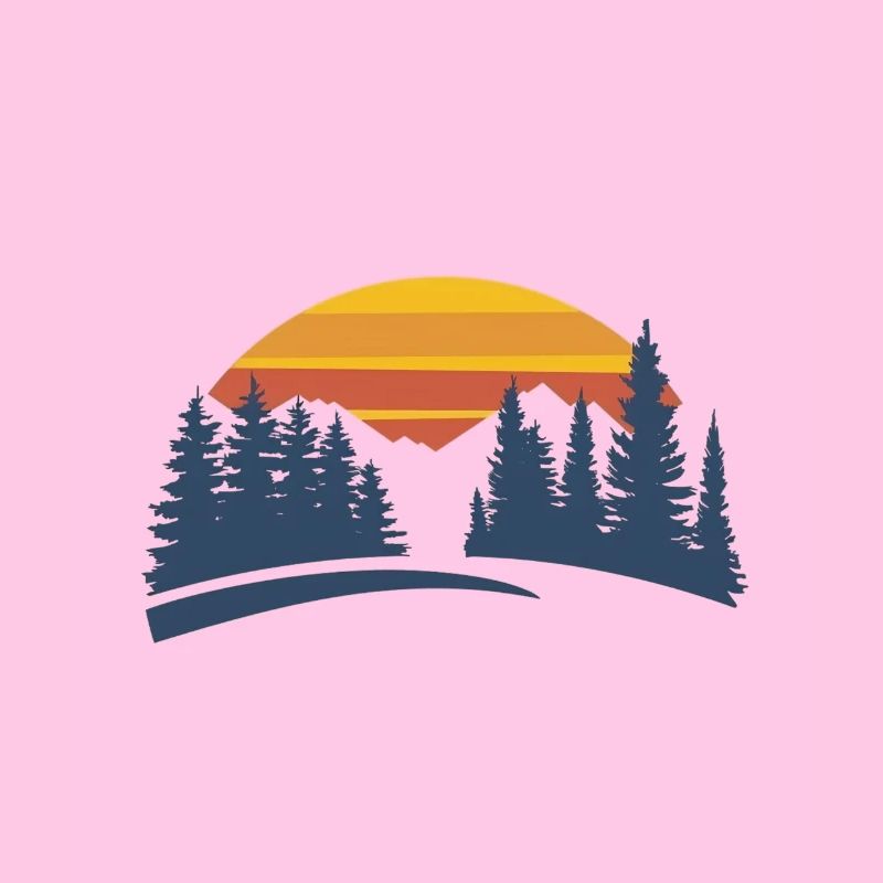 Sunset Forest Nature Experience