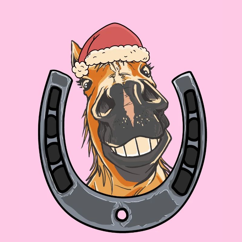 Nikolaus Weihnachtsmann Pferd Pferde Kinder