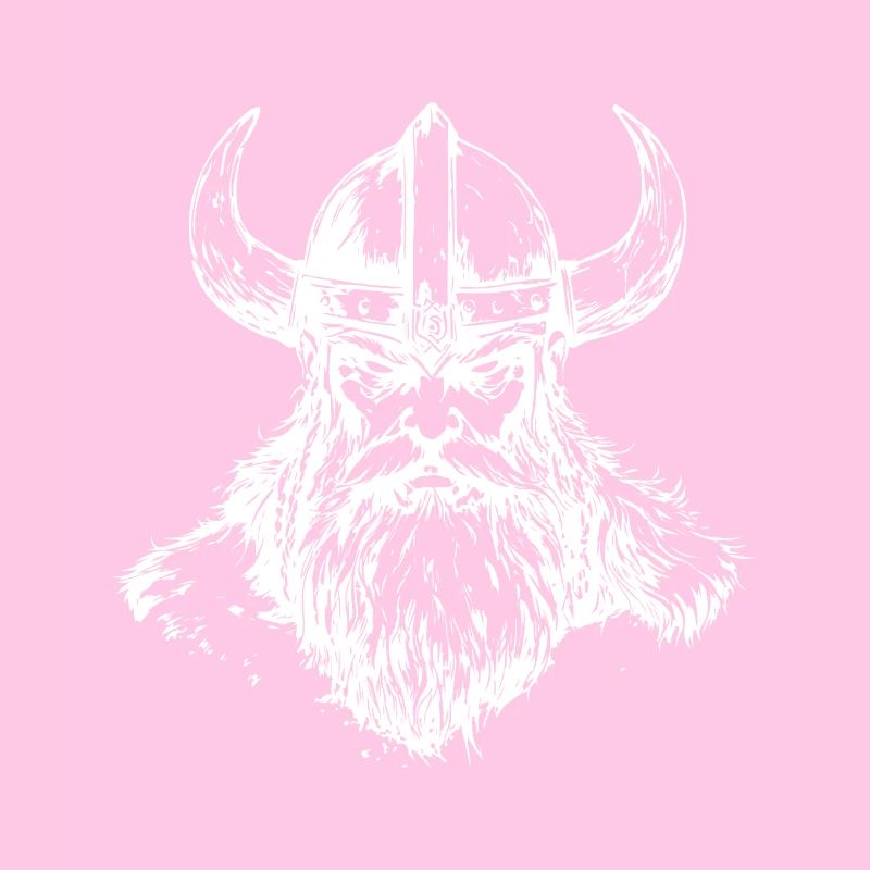 Wikinger Odin