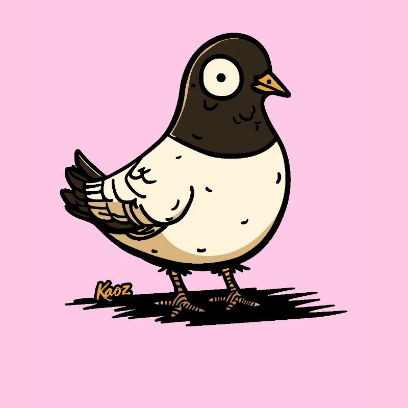 funny pigeon