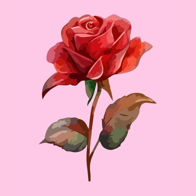Rose Fleur Amour Saint Valentin