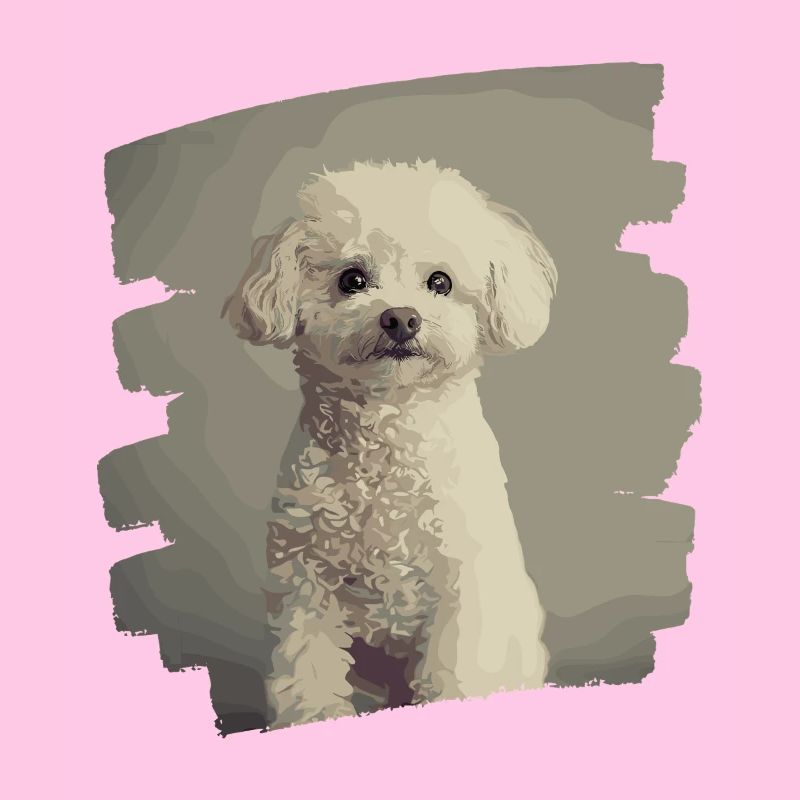 Caniche