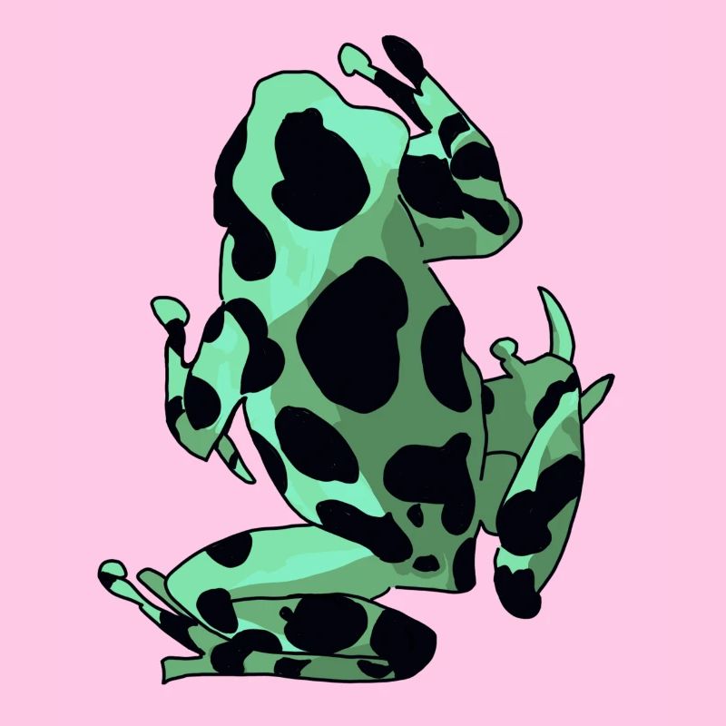 Frosch & Kröte