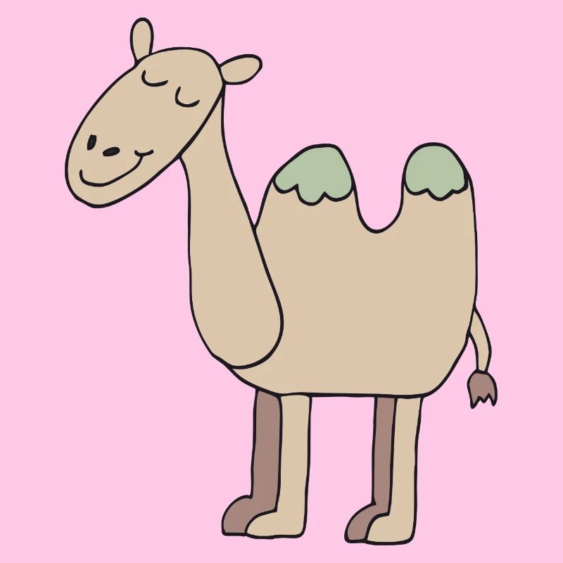 kamel