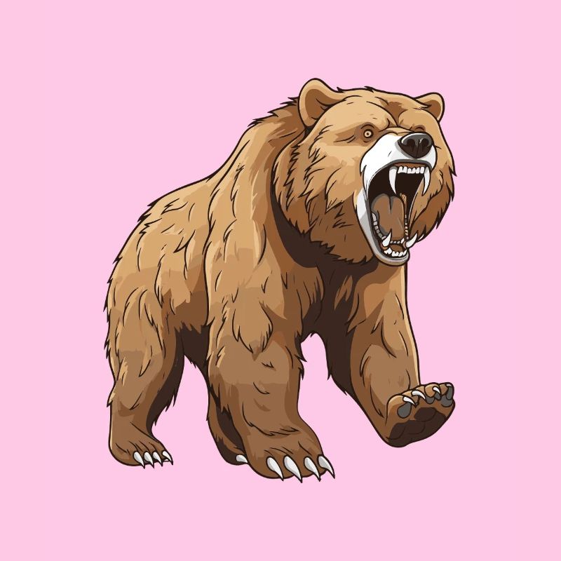Bear Animal