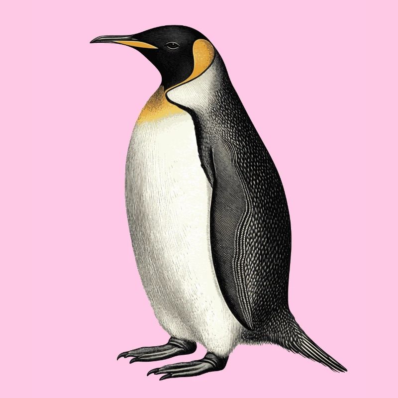 Pinguin