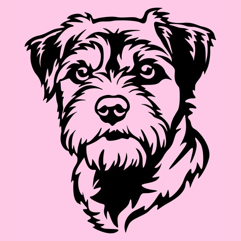 Border Terrier Kopf