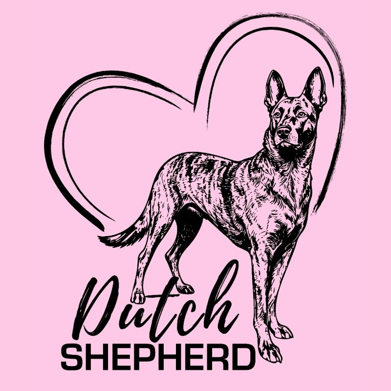 Dutchie - Holländischer Schäferhund