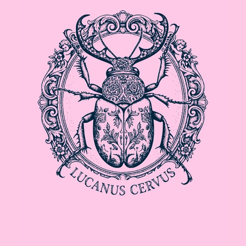 Lucanus Servus - Hirschkäfer
