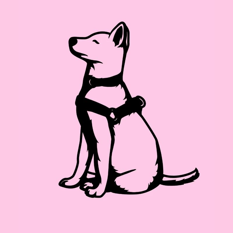 Chien de berger