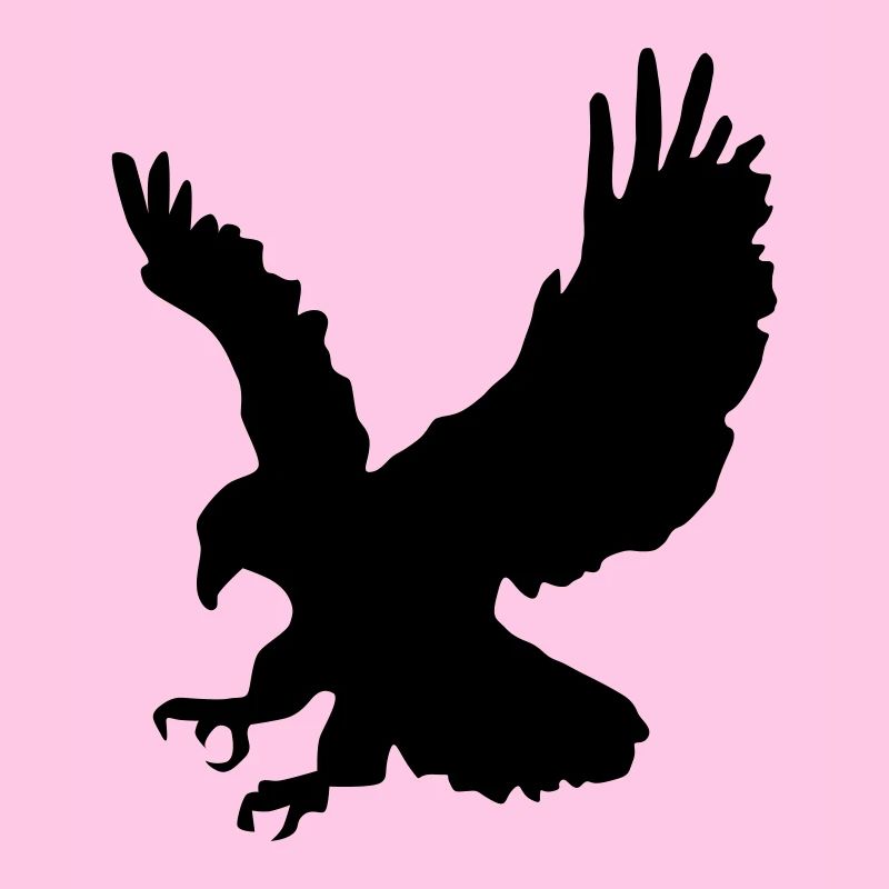 Piquée chasse Aigle