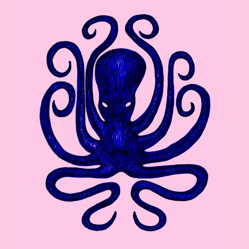 Squid - Octopus
