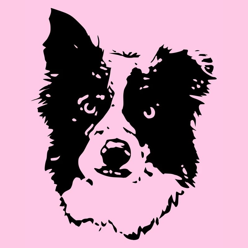 Border_Collie2_cb