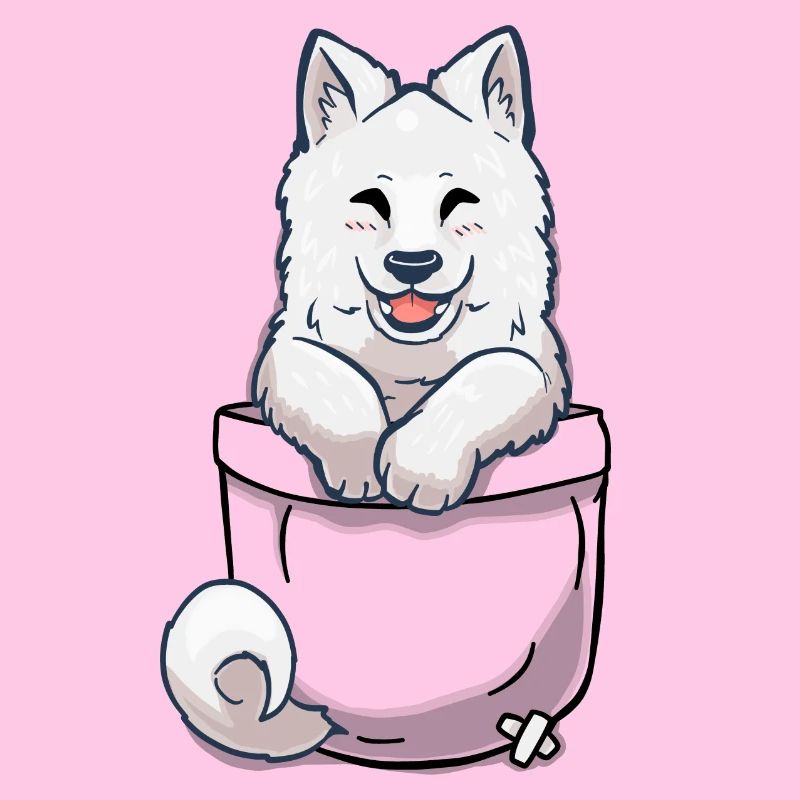 Pocket Samoyed Welpe