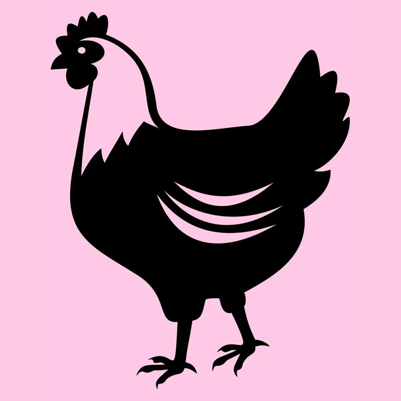 Chicken - hen