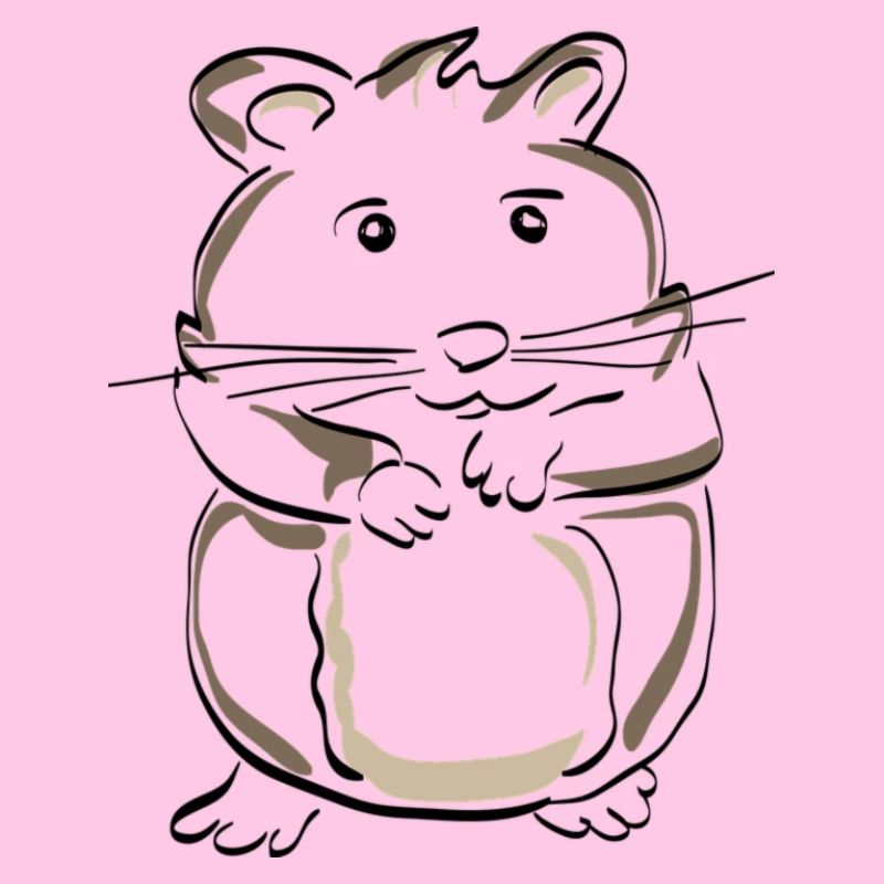 Drawn hamster - perfect gift idea!