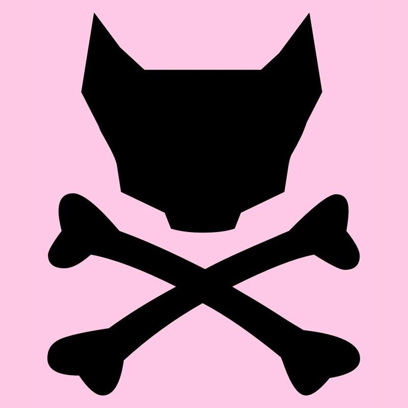 crâne de chat