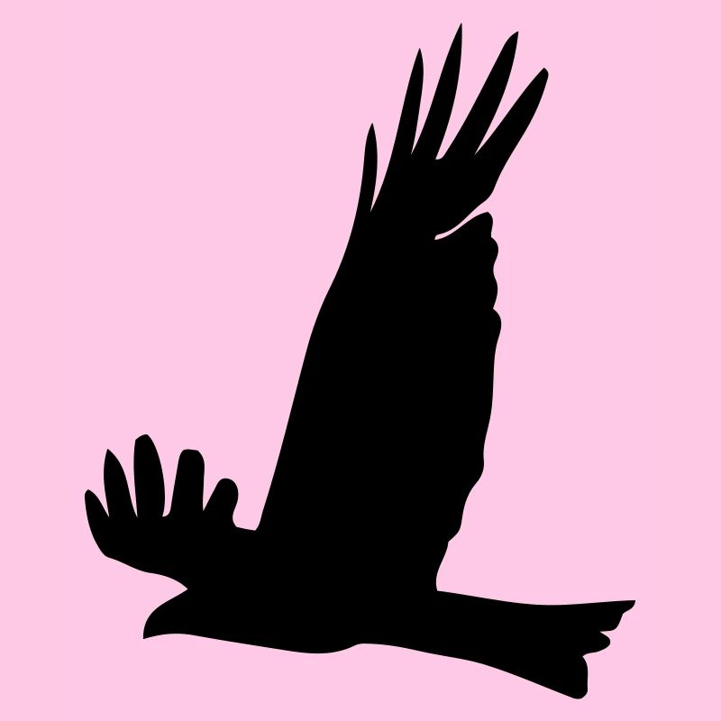 Adler