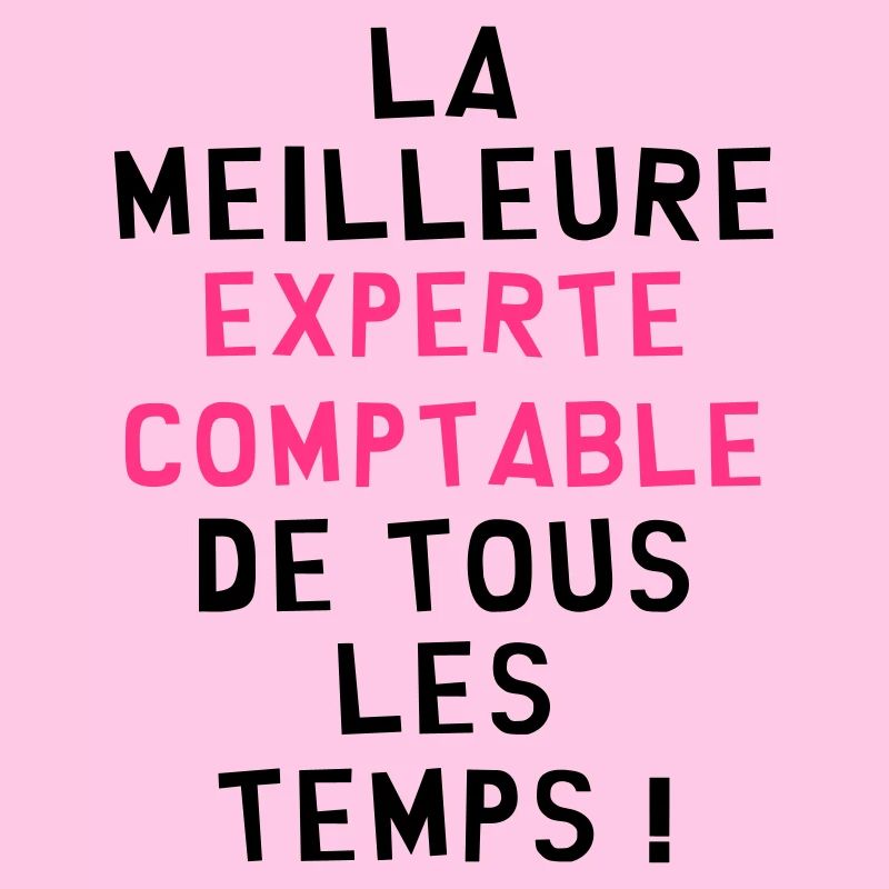 Expert Comptable / Comptabilité / Comptable /