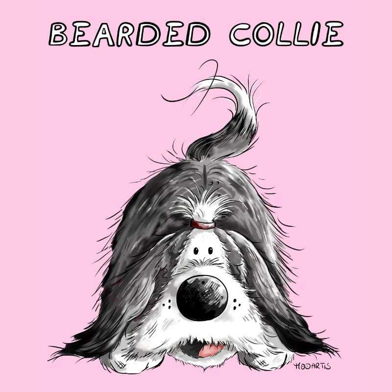 Playing Bearded Collie
