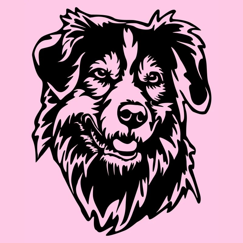 Australian Shepherd Head