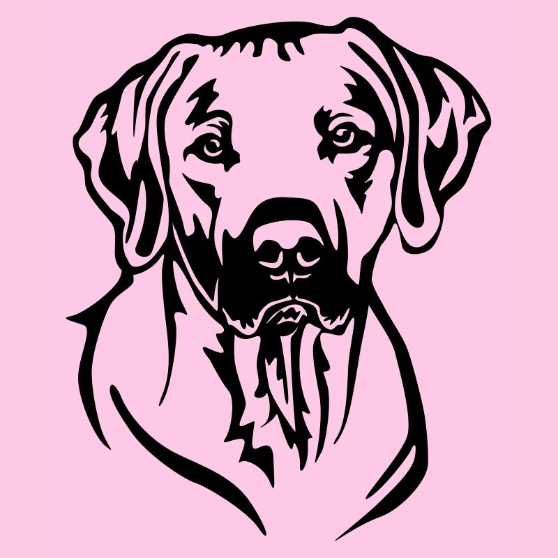 Tête rhodesienne Ridgeback