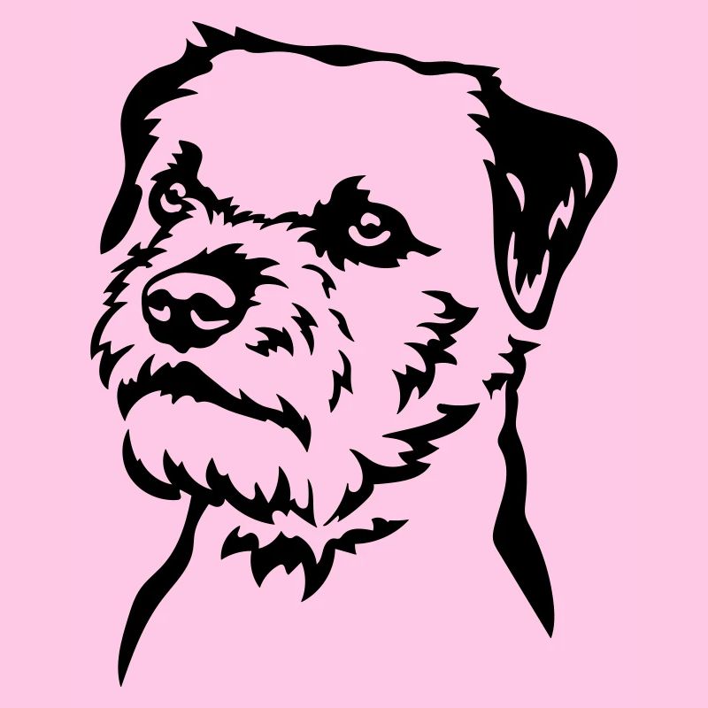 Border Terrier Kopf