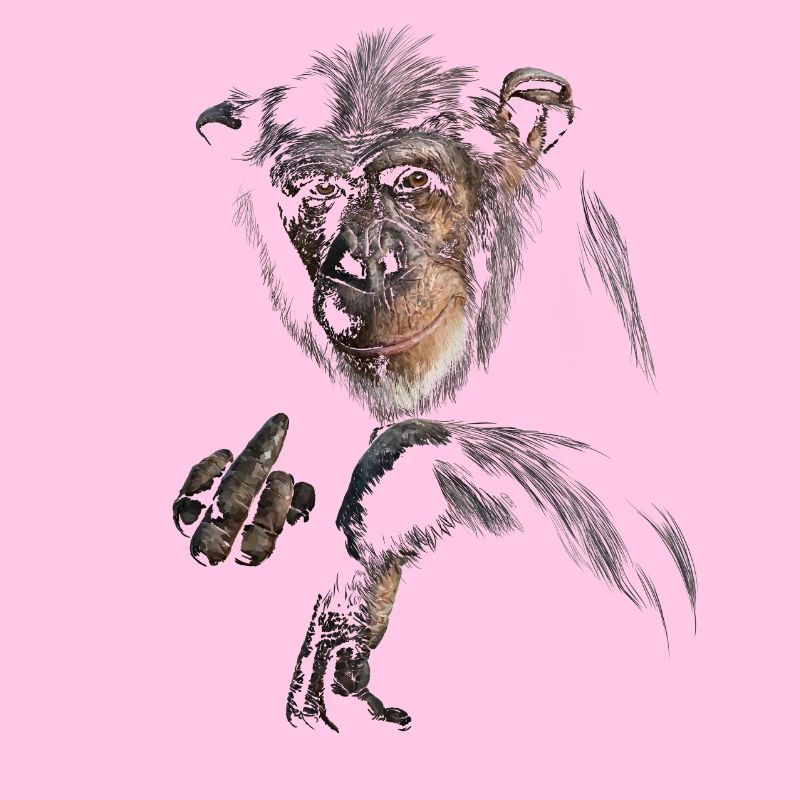 Chimpanzé