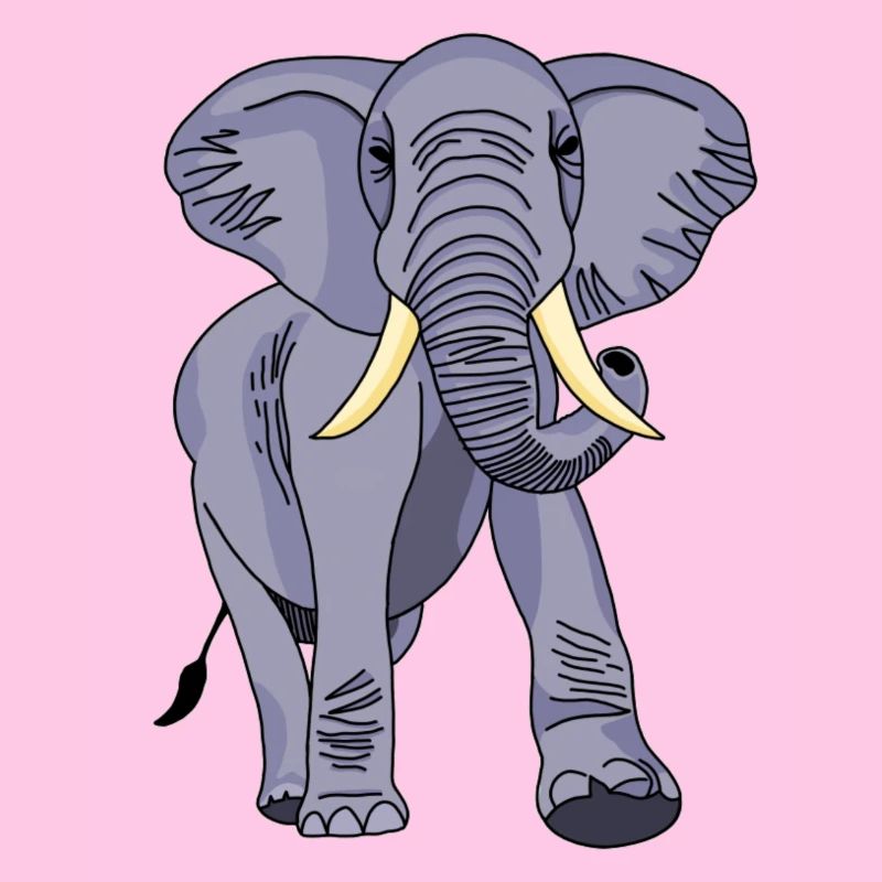Elefant