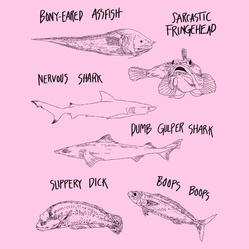 DRÔLE de POISSON
