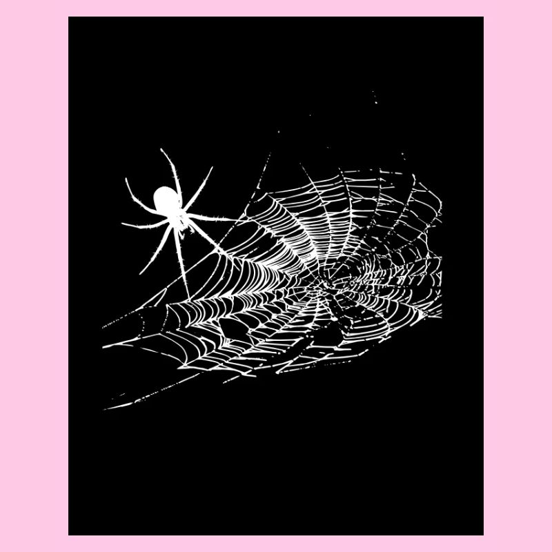 spider