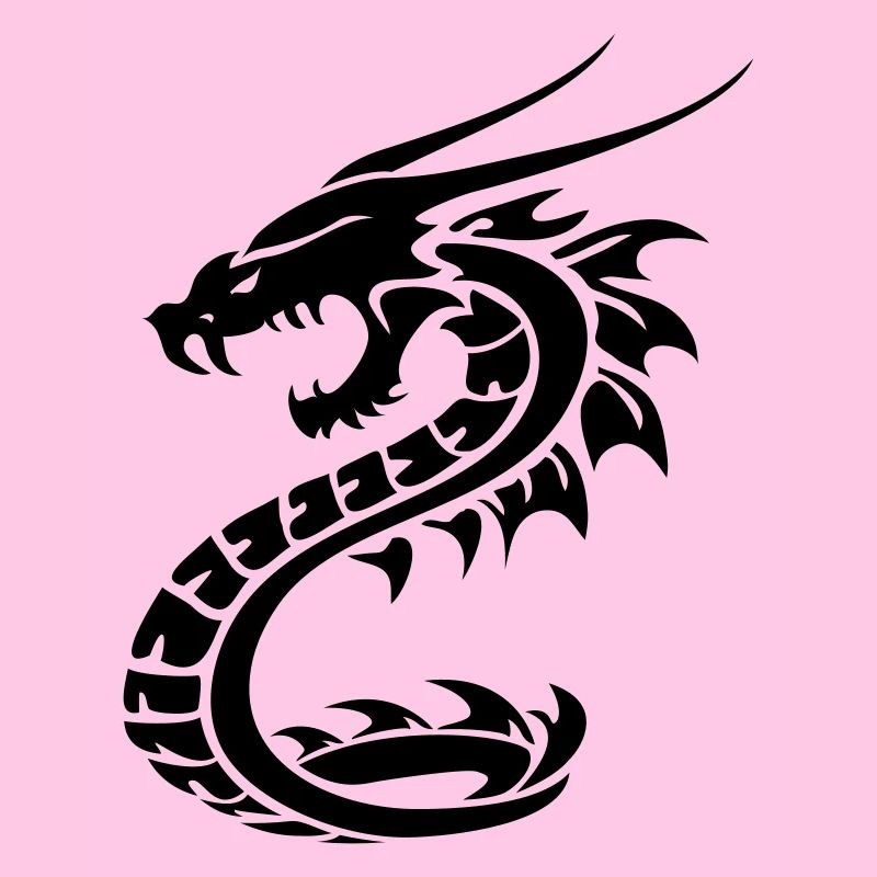 Drache Dragon 2