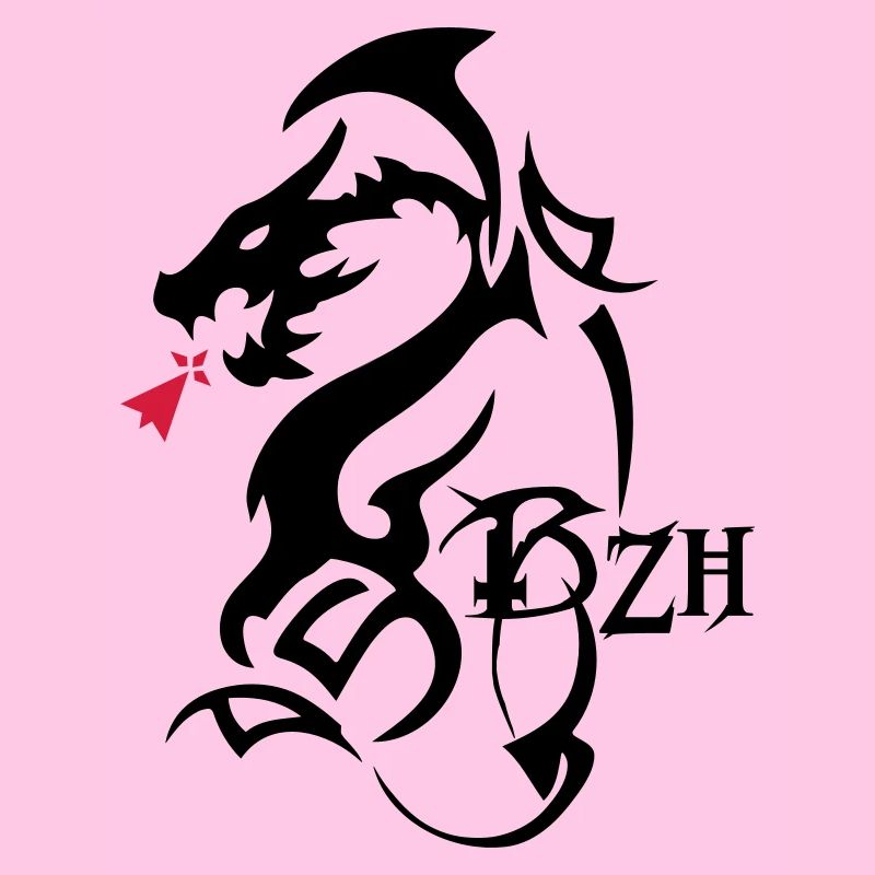 dragon tribal bzh hermine bretonne