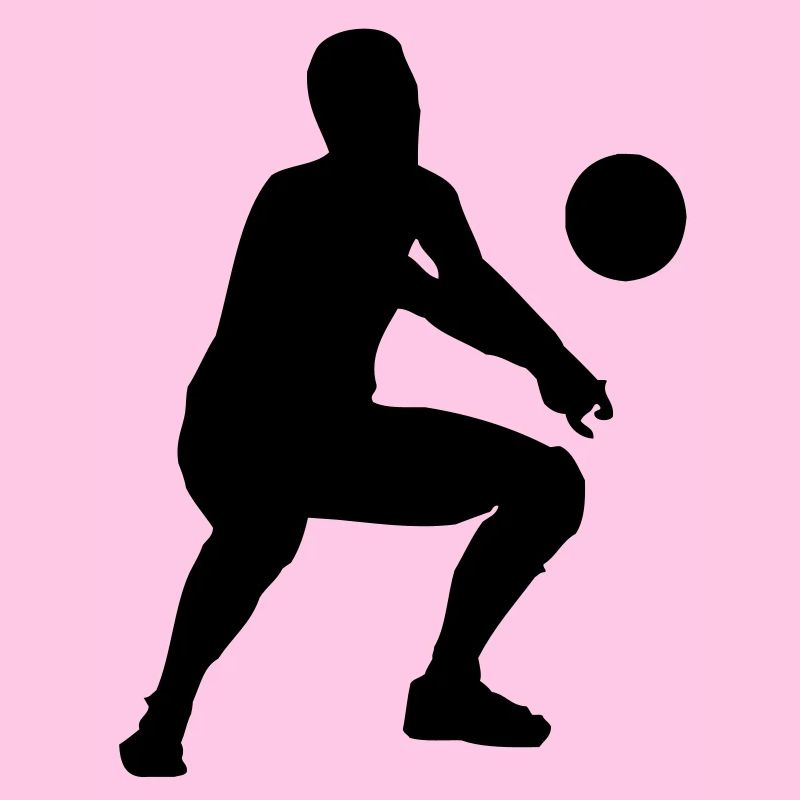 volleyball bagger
