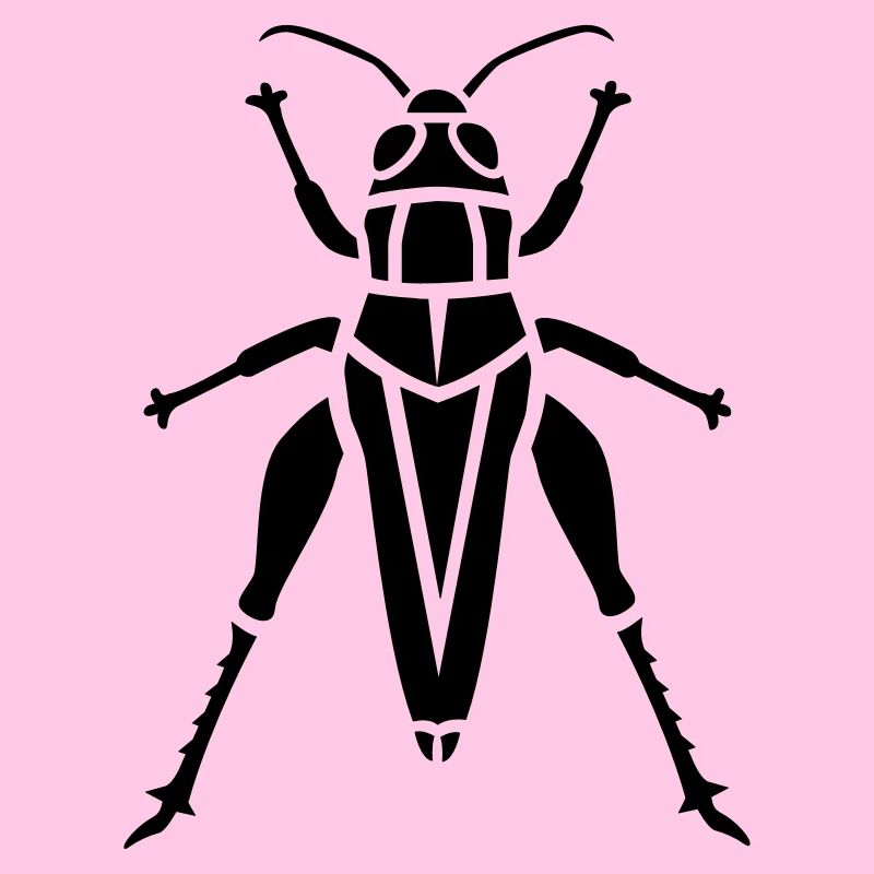 Insect - grasshopper