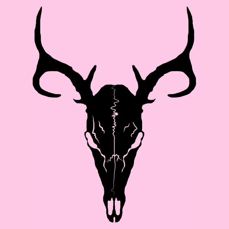 Deer skull